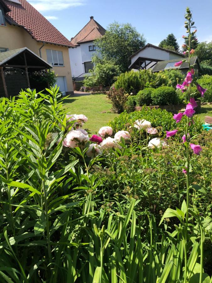 Gemuetliches Apartment Garden View Ramstein-Miesenbach Exteriér fotografie