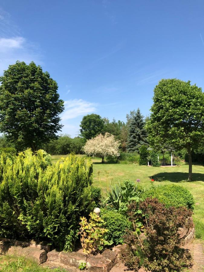 Gemuetliches Apartment Garden View Ramstein-Miesenbach Exteriér fotografie